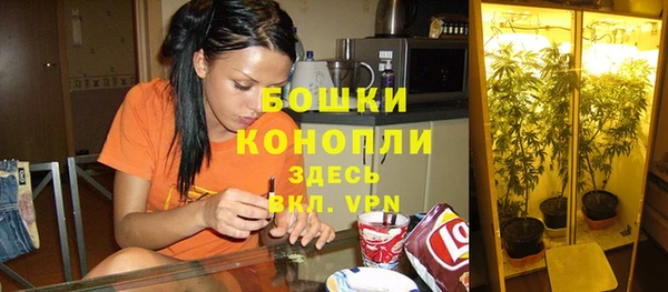 СК Балахна
